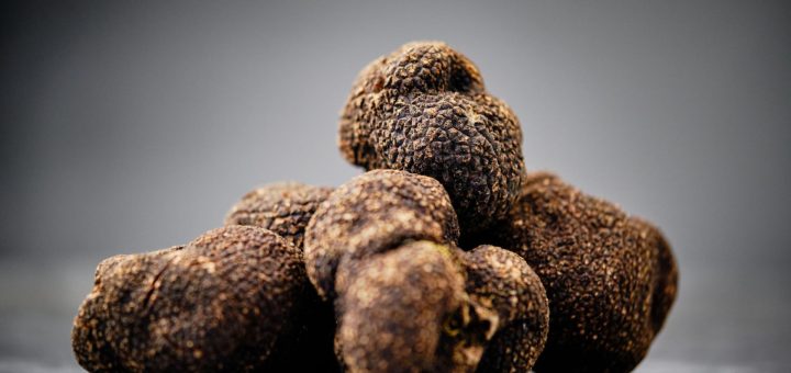 Truffe fraîche : les meilleures façons de la déguster et de l'apprécier