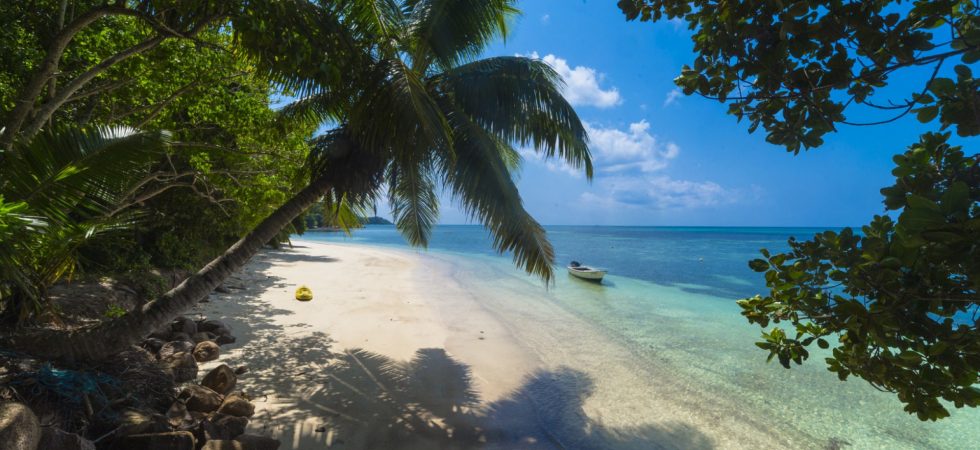 Quelles activités faire en Martinique pour profiter pleinement de l’île ?
