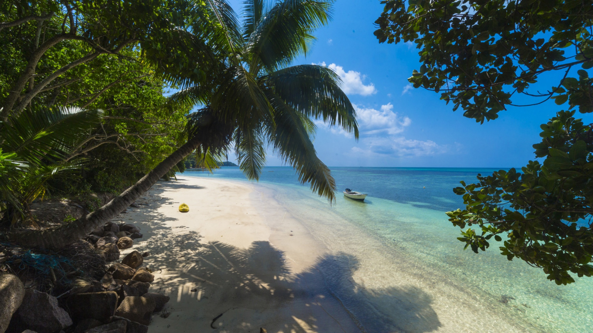 Quelles activités faire en Martinique pour profiter pleinement de l’île ?