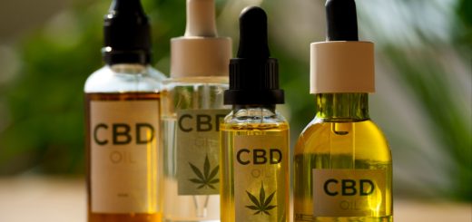 Pourquoi choisir des fleurs de CBD cultivées en Provence ?
