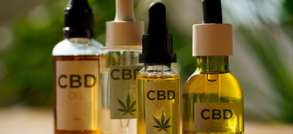 Pourquoi choisir des fleurs de CBD cultivées en Provence ?