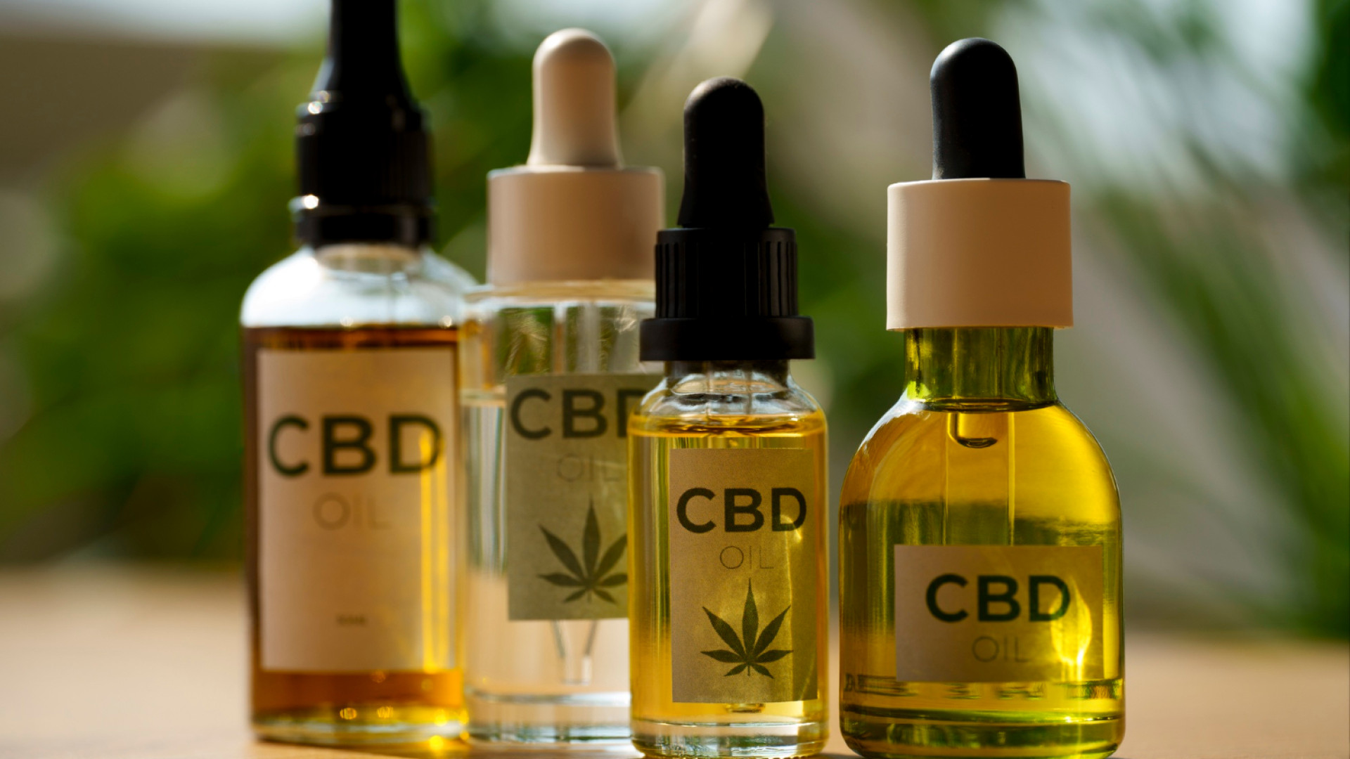 Pourquoi choisir des fleurs de CBD cultivées en Provence ?